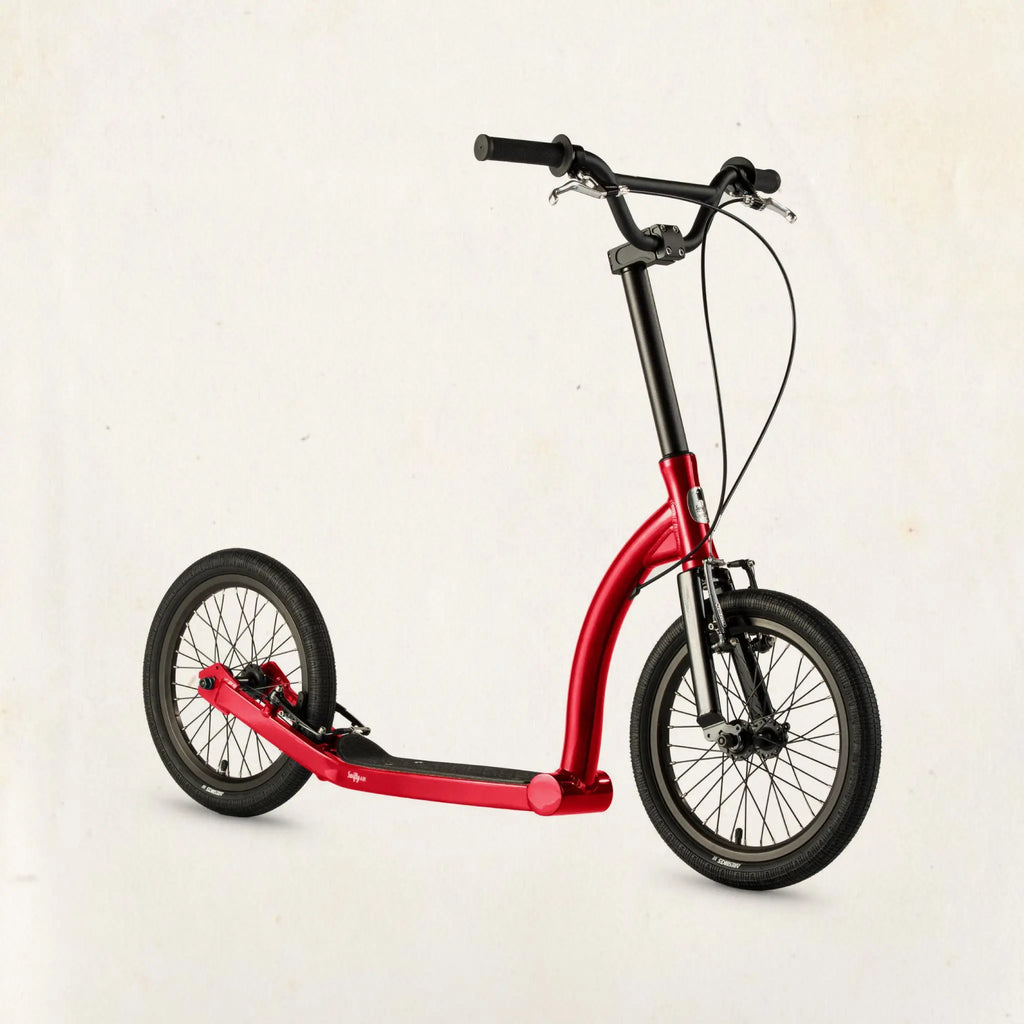 Custom Paint Scooter Frame Swifty Scooters