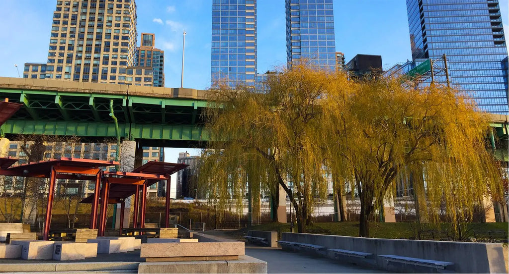 adult scooter, big wheel scooter, adult kick scooter