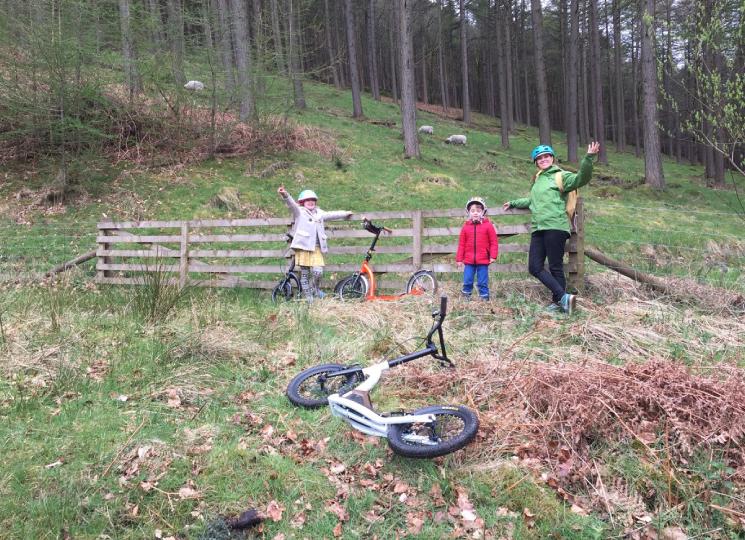 adult scooter, kids scooter, scooters for family, kick scooter, scooters with big wheels